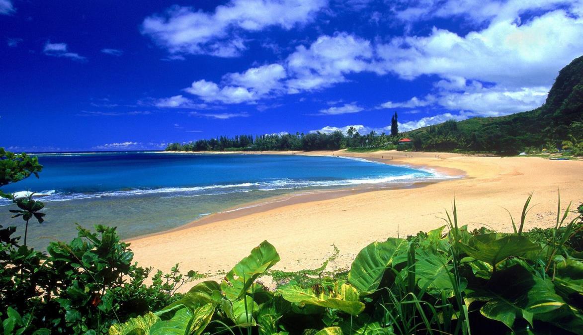 Hawaii Oahu - dovolenka